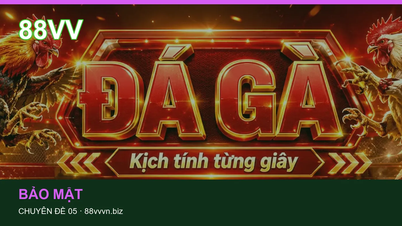 Hỏi đáp về Bảo mật: quy trình tự kiểm tra trên 88VV